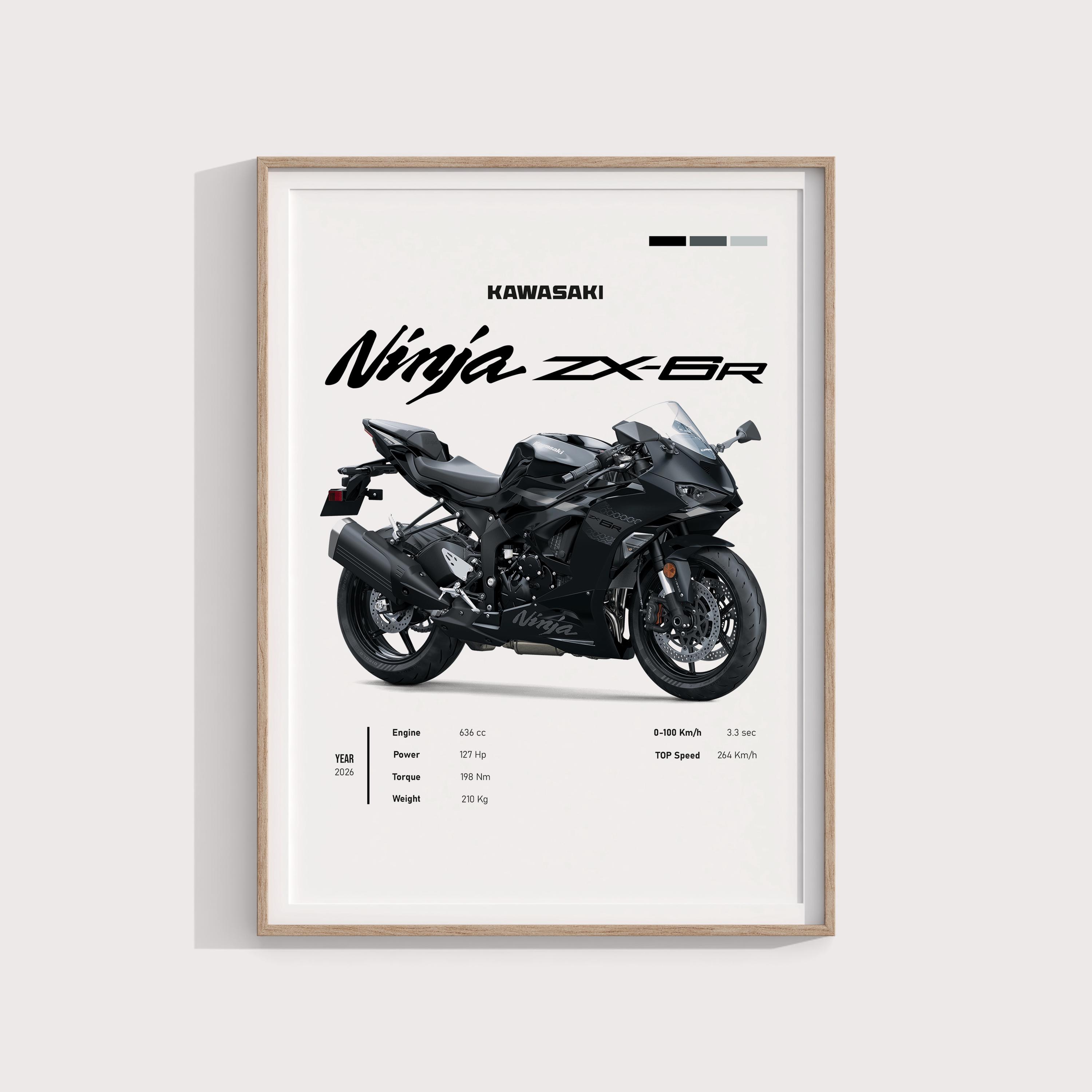 Kawasaki Zx6r Gifts - 60+ Gift Ideas for 2026