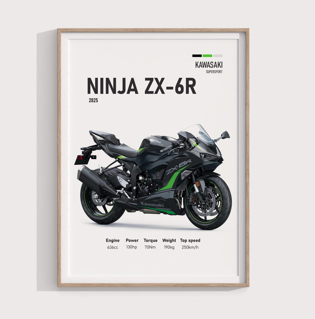 チカーノ ギャング / graphic poster チカーノ ギャング / graphic poster Ninja ZX
