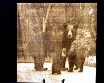 Engraved Bear Photo