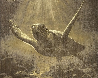 3D Sea Turtle Engraving