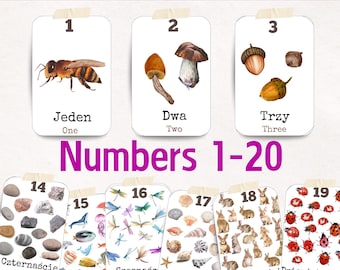 Bilingual Polish English Number Flashcards 1-20 Printable Reggio Emilia Montessori Homeschool & Preschool Learning Cards