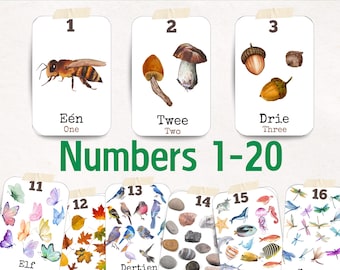 Bilingual Dutch English Number Flashcards 1-20 Printable Reggio Emilia Inspired Homeschool & Preschool Learning Flash Cards Print