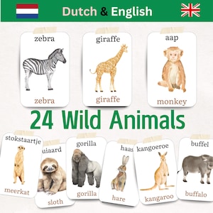 Tarjetas didácticas bilingües en holandés e inglés sobre animales salvajes para niños, 24 tarjetas didácticas con acuarela, temáticas de la naturaleza, inspiradas en Reggio Emilia, listas para la educación en el hogar