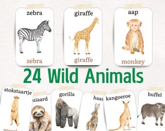 Bilingual Dutch English Wild Animal Flashcards for Kids 24 Watercolor Flash Cards Nature Theme Reggio Emilia Inspired Homeschool Ready