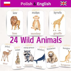 Tweetalig Pools Engels Flashcards met wilde dieren voor kinderen 24 aquarelkaarten Natuurthema Reggio Emilia geïnspireerde homeschool-flashkaart PL