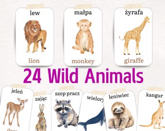 May include: A set of 24 flashcards featuring illustrations of wild animals, with both the English and Polish names for each animal. The cards are white with a brown border and feature watercolor illustrations.