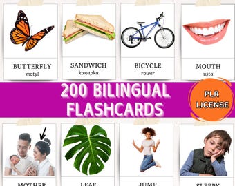 PLR Bilingual Flashcards Template Editable in Canva 200 Nomenclature Flash Cards Montessori Real Photos Classroom Language Preschool
