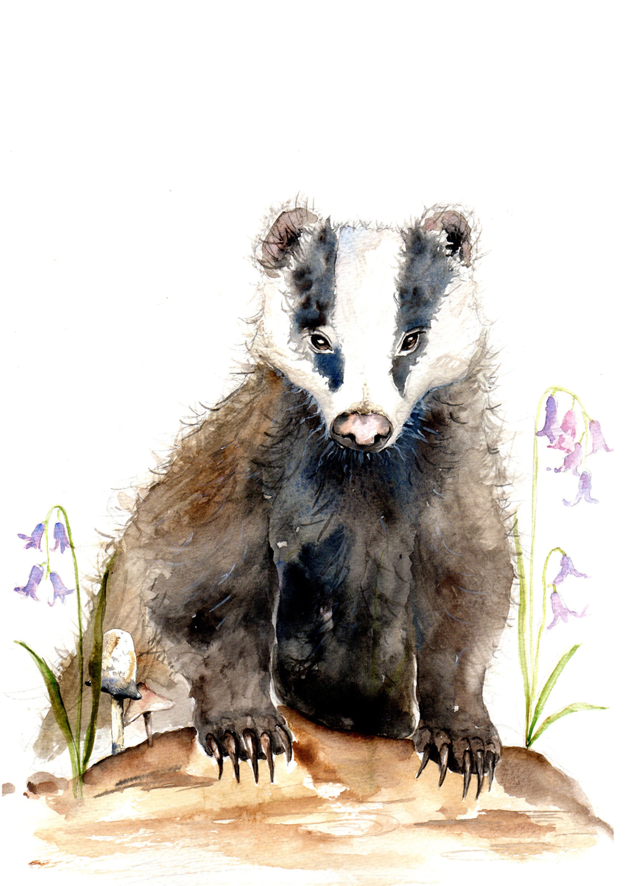 Badger Illustration Painting Watercolor Art A4 print set in | Etsy