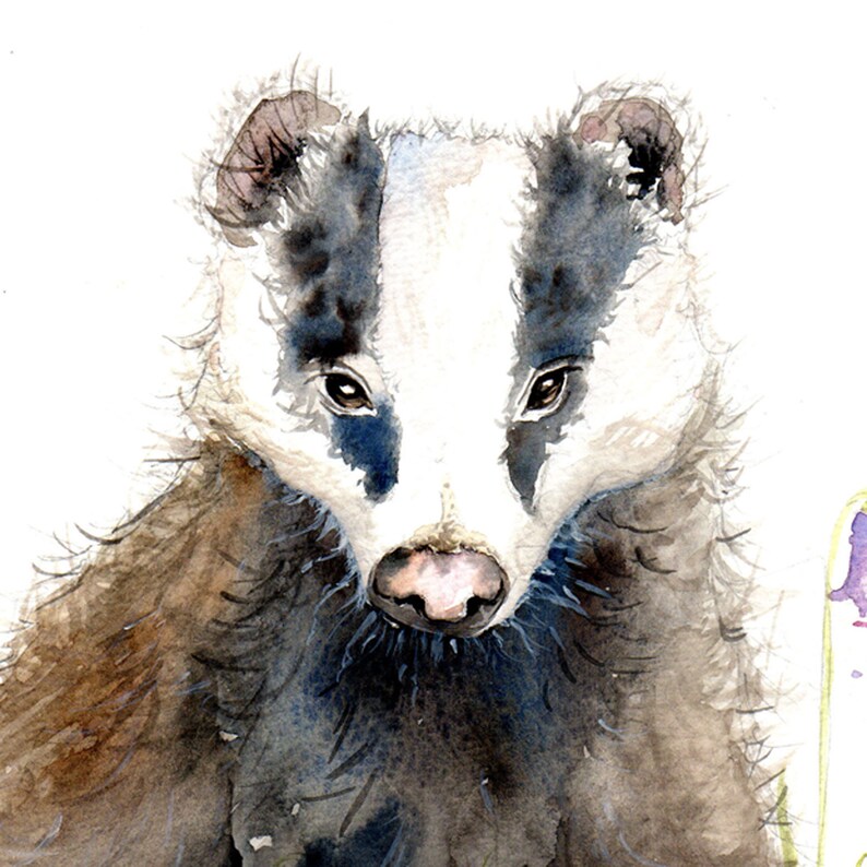 Badger Illustration Painting Watercolor Art A4 Print Set in Etsy