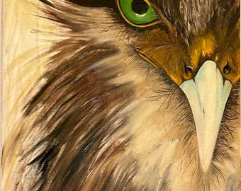 Green Eyed Hawk Acrylic Painting 30x40 cm Wildlife Bird Wall Art Canvas Home Decor