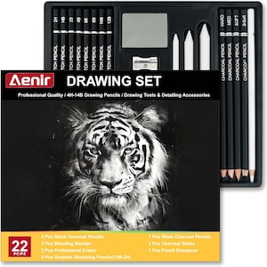 Charcoal Pencils for Drawing, Set of 22, Professional Drawing Sketch Pencils, Art Supplies for Drawing, Sketching
