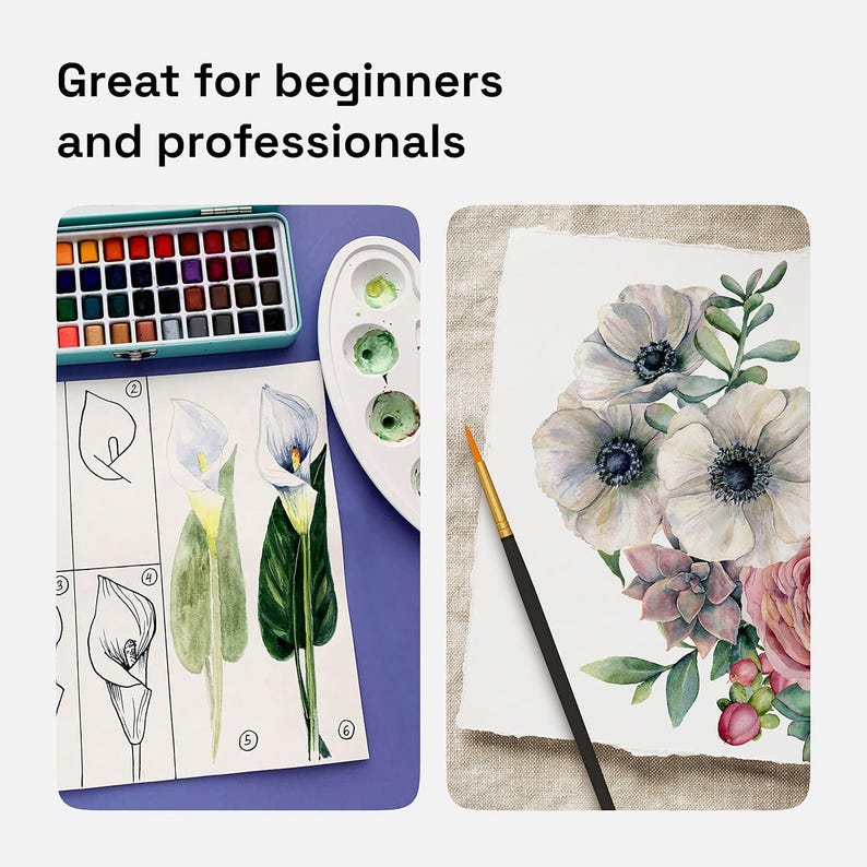 May include: A set of watercolor paints with a palette and a sheet of paper with a drawing of a calla lily. The drawing shows different steps for drawing the flower. The text on the paper says "Great for beginners and professionals".