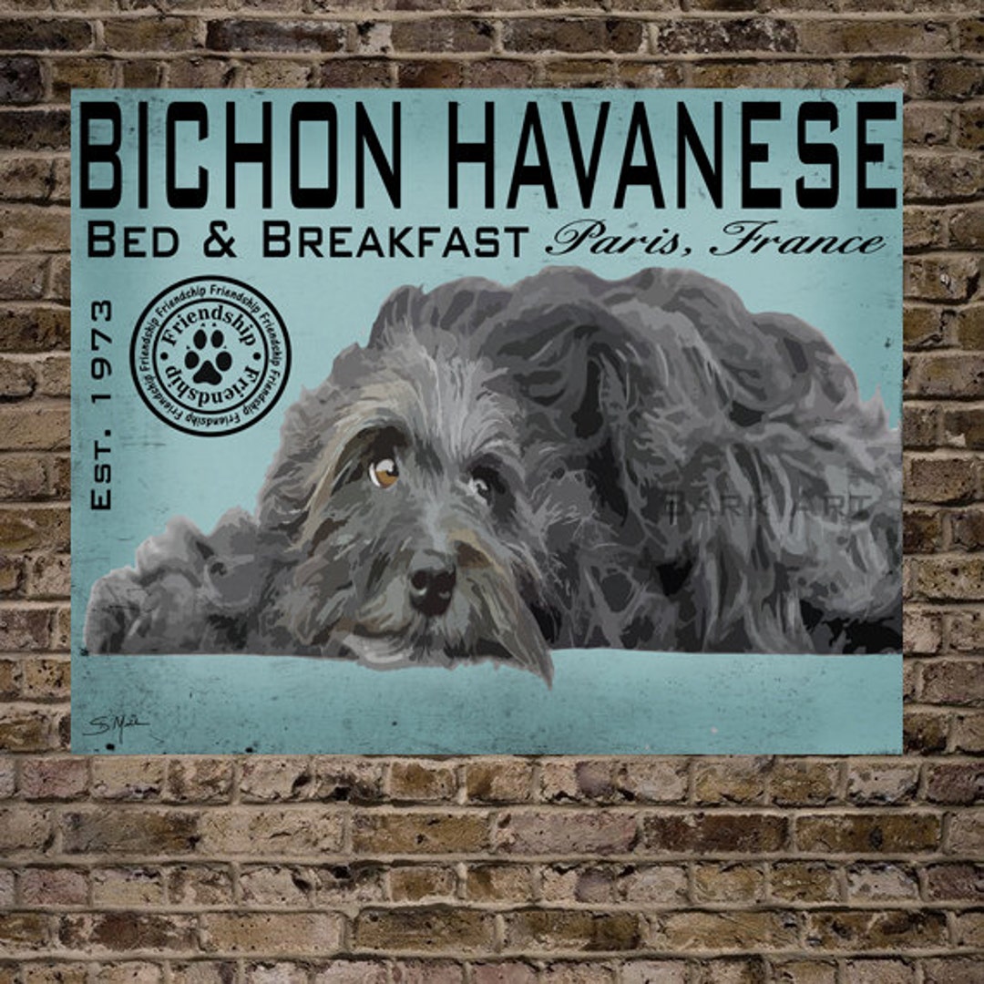 Bichon Havanese Dog Digital Art Bed and Breakfast Paris France Print or ...