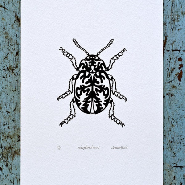 Beetle / Coleoptera 'specimen' (noir) - Limited edition, handmade silkscreen print