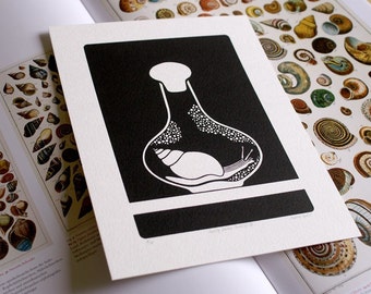 Curiosity Cabinet Series 2, No.3 - Limited Edition Screenprint (Snail)