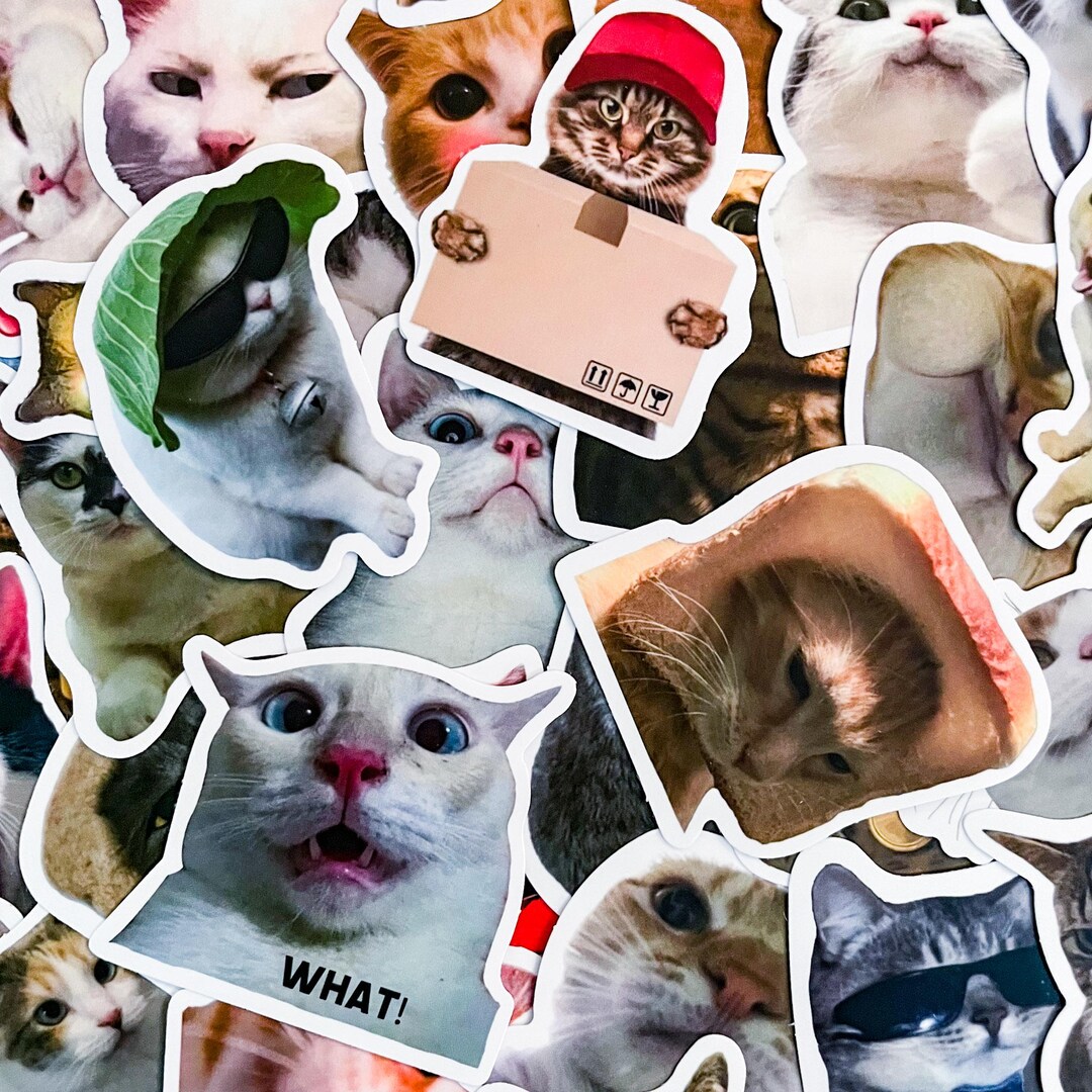 Sticker Cat. Random 50 Random Cat Meme Stickers, Funny Cat Stickers, Waterproof Animal ...