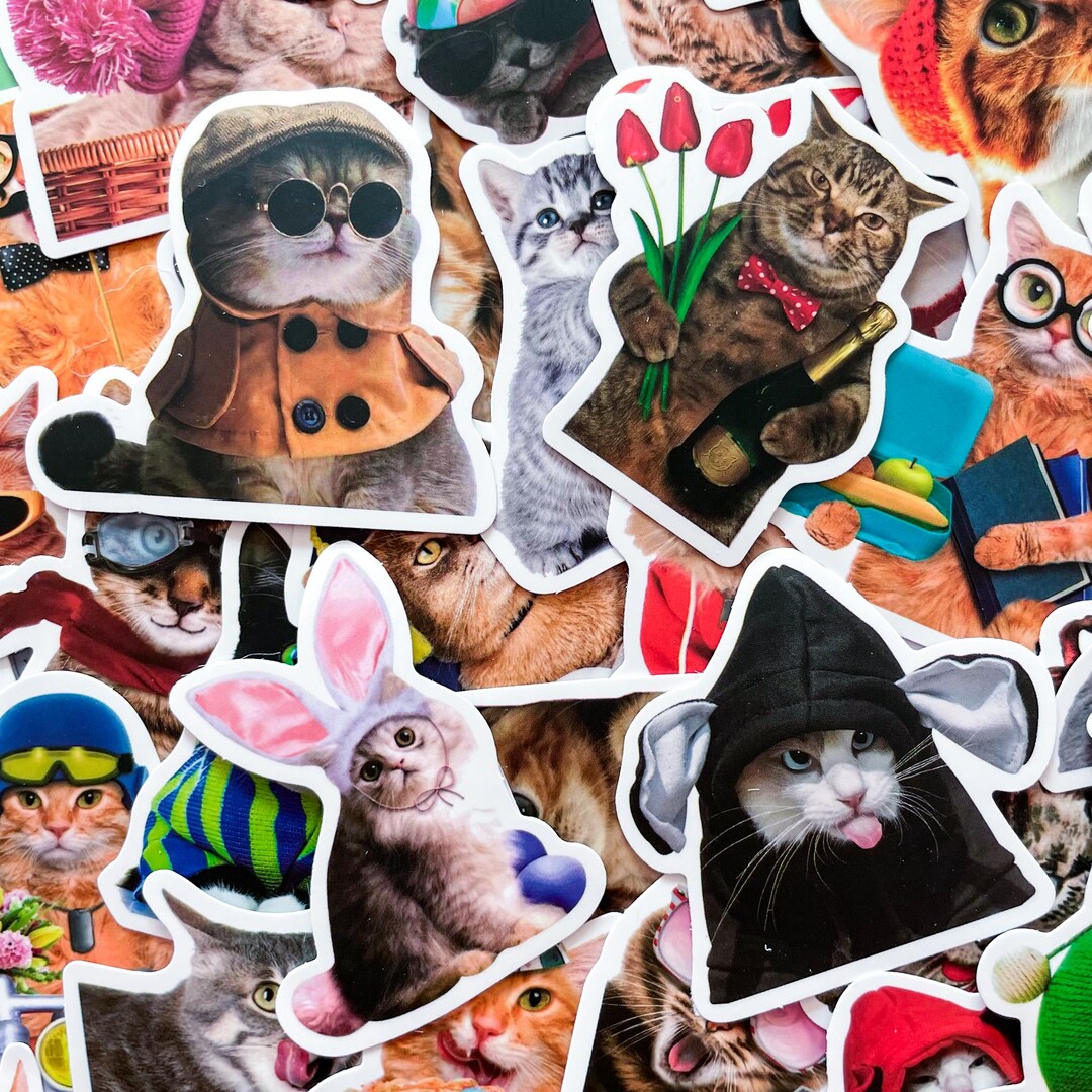 Party Cat Sticker 50PCS Cute Cat Stickers, Funny Animal Stickers, Realistic Party Cat ...