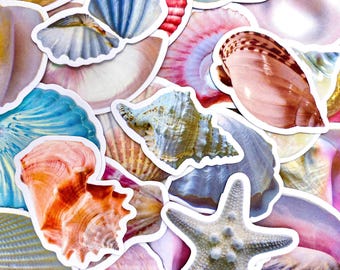 Puede incluir: Una colección de pegatinas de conchas marinas coloridas en varias formas y tamaños. Las pegatinas presentan tonos de azul, rosa, naranja y blanco, con una estrella de mar y conchas. Las pegatinas tienen un borde blanco.