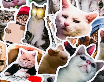 50 adesivos de gatos estilosos, adesivos de gatinhos memes, adesivos hilários, adesivos engraçados de gatos, adesivos à prova d'água para diários, cadernos e malas.