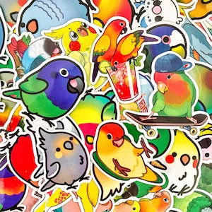 May include: A selection of colourful bird stickers depicting various parrot species. The stickers show birds in different poses, including one on a skateboard and another enjoying a drink. The designs feature vibrant colours and cartoon-style illustrations.
