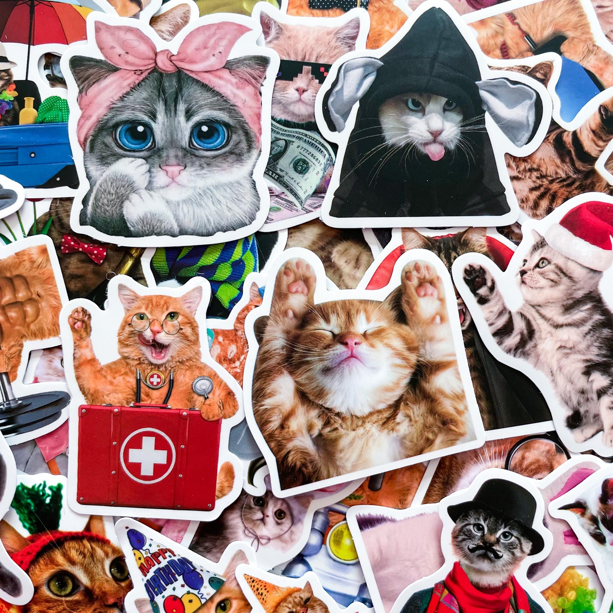 50PCS Cute Cat Stickers, Funny Animal Stickers, Realistic Party Cat ...