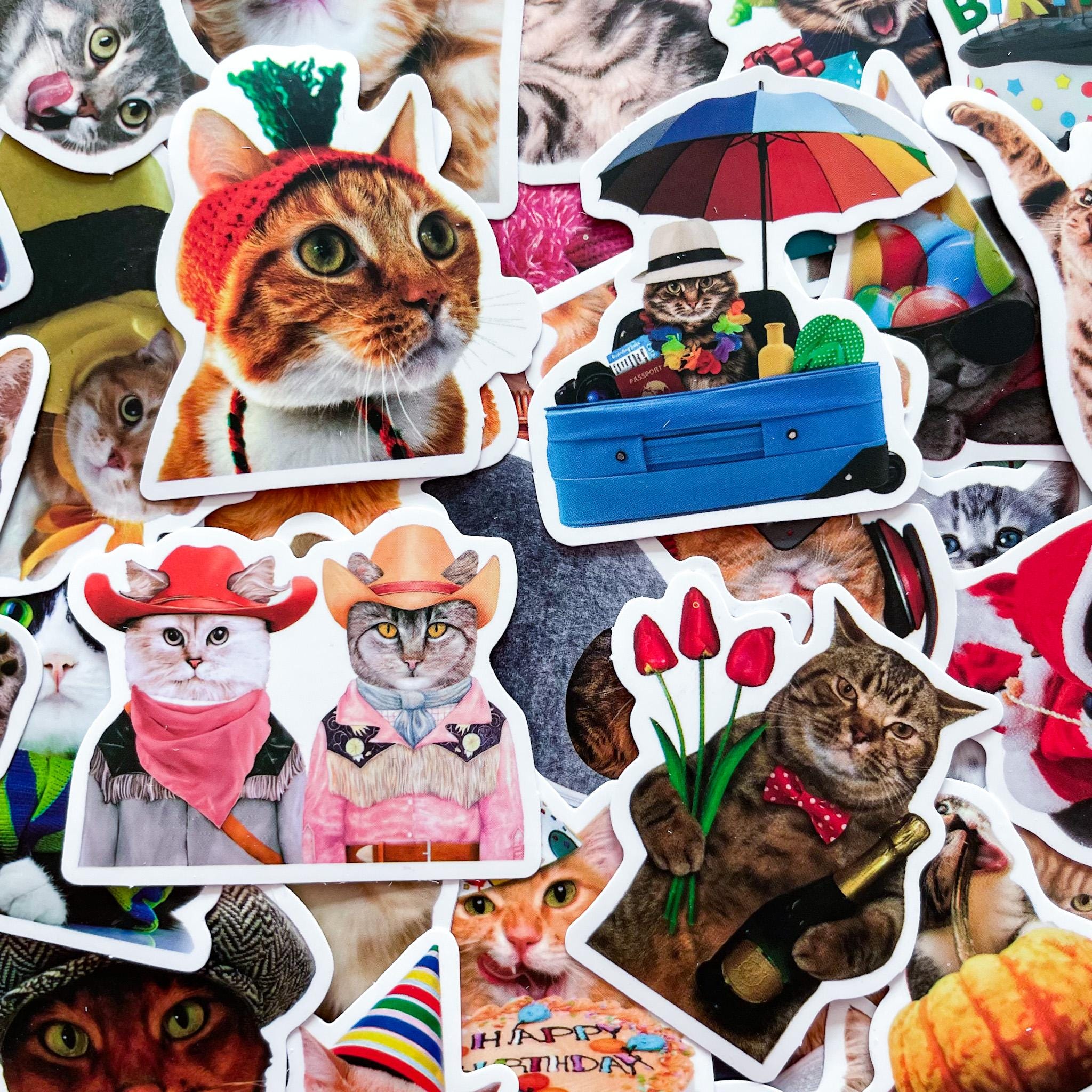 Party Cat Sticker 50PCS Cute Cat Stickers, Funny Animal Stickers, Realistic Party Cat ...