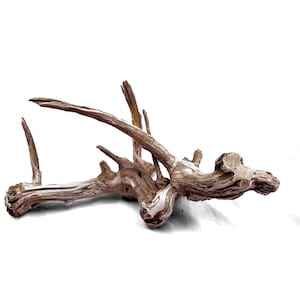 Puede incluir: Un trozo de madera flotante con un aspecto natural y desgastado. La madera es una mezcla de tonos marrones claros y oscuros, con una superficie texturizada y varias ramas que se extienden hacia afuera. Ideal para la decoración del hogar.