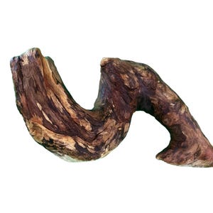 Knotted Driftwood Sculpture, 10"x6"| Looped, Sculptural, and Aquarium-Safe