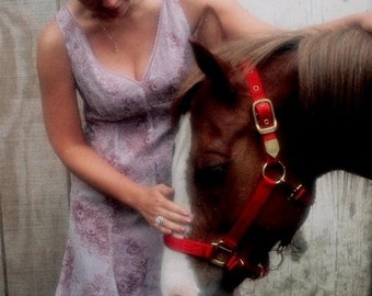 Beauty and Horse