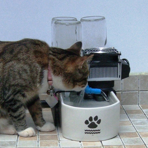 Perfect Pet Cat Fountain Cold Water Ceramic Glacier Point USA Etsy