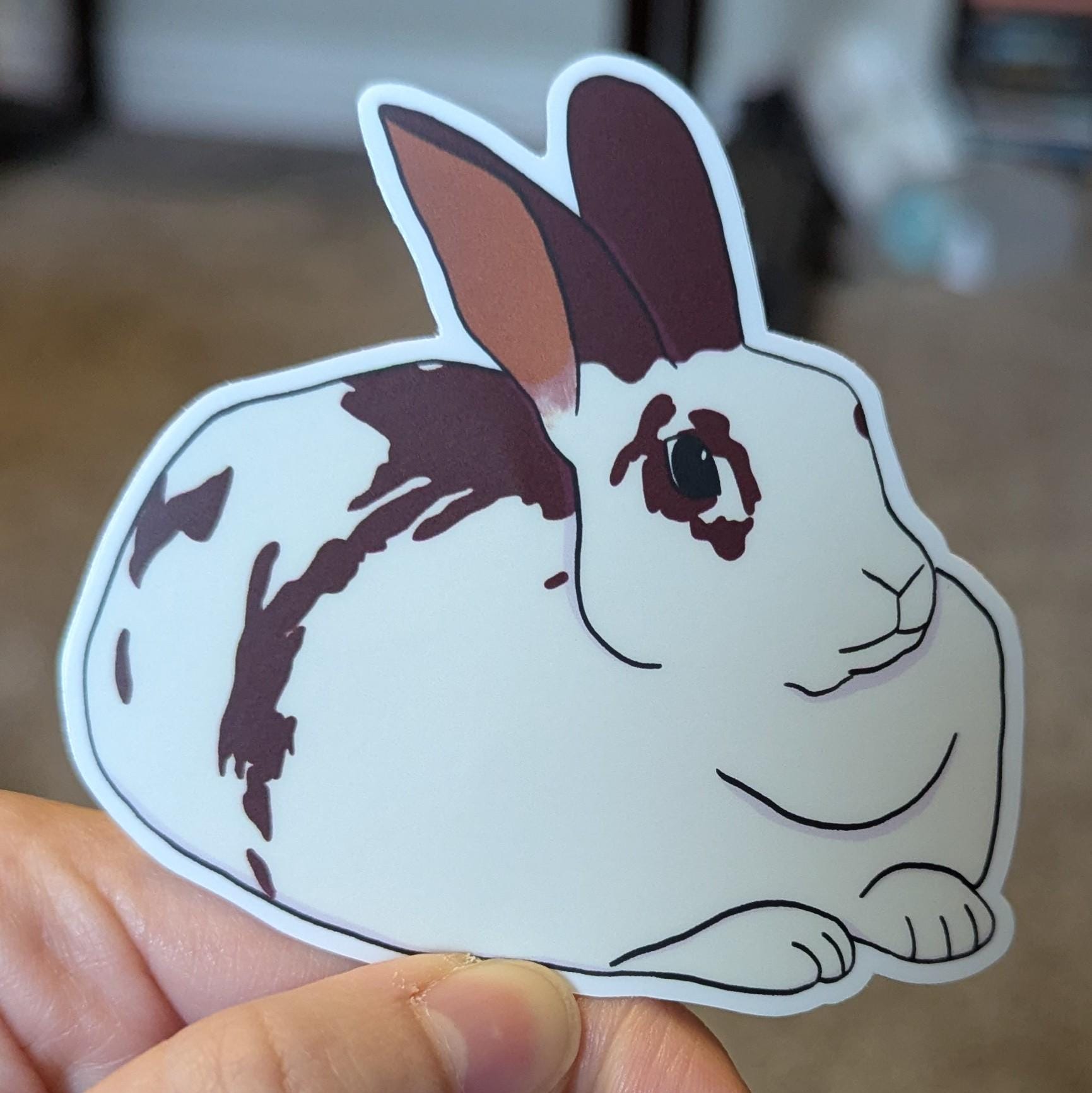 Svg Rex Rabbit Face Mini Rex Bunny Rabbit Sticker - Etsy