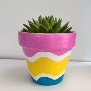 May include: A small succulent plant potted in a terracotta planter painted with horizontal wavy bands of bright pink, white, yellow, and blue. The plant features thick, pointed green leaves arranged in a dense, symmetrical rosette pattern.