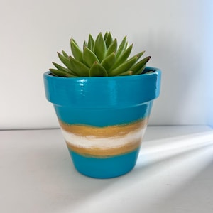 May include: A vibrant turquoise plant pot featuring a horizontal band of metallic gold and white paint around the centre. A green succulent plant with pointed, fleshy leaves is planted inside the container, which has a smooth, glossy finish.