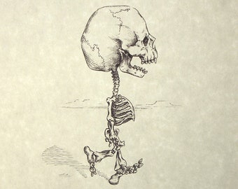 Charlie Brown-skeletprint 8 x 10