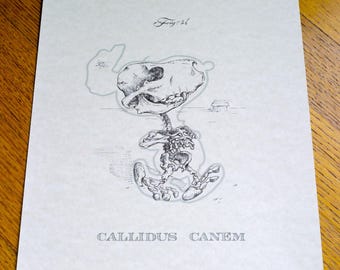 Callidus Canem 8 x 10 inch anatomische cartoon skeletafdruk met omtrek