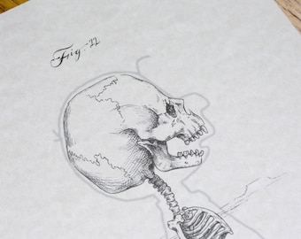 Tristis Puer (Charlie) 8 x 10 inch anatomische cartoon skeletafdruk (Latijn)