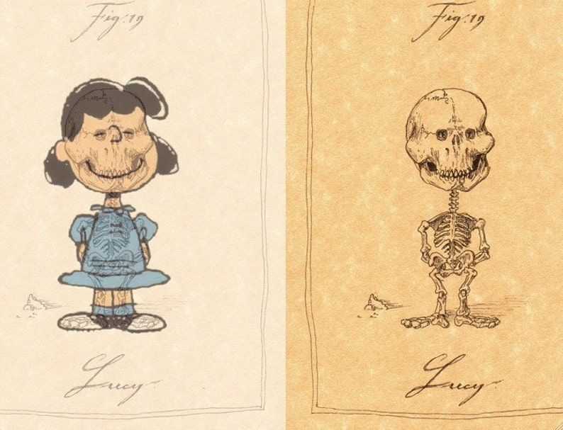 Lucy Skeleton Print 8x10 image 5