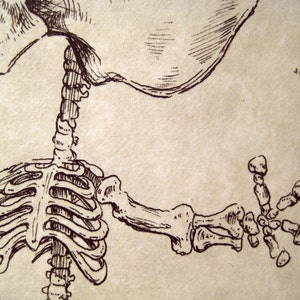 Pigpen Skeleton on Panel last one image 5