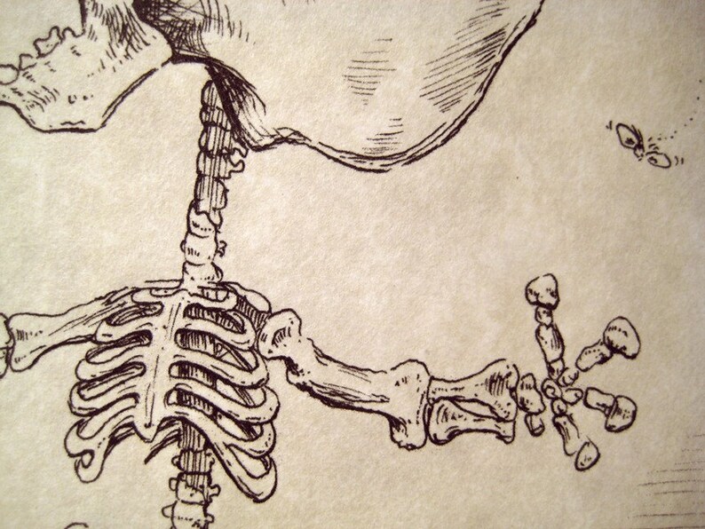 Pigpen Skeleton on Panel last one image 5