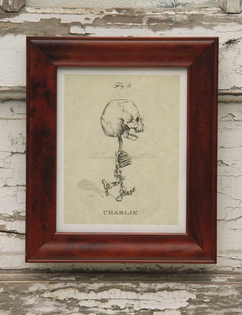 Lucy Skeleton Print 8x10 image 4