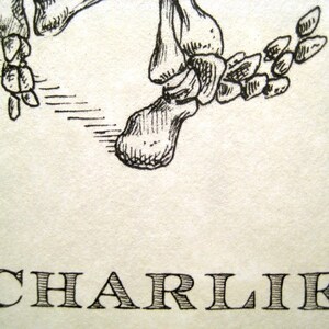 Charlie Brown Skeleton Print 8x10 image 3