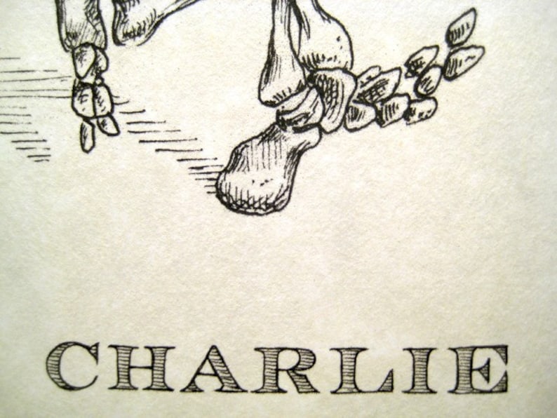Charlie Brown Skeleton Print 8x10 image 3