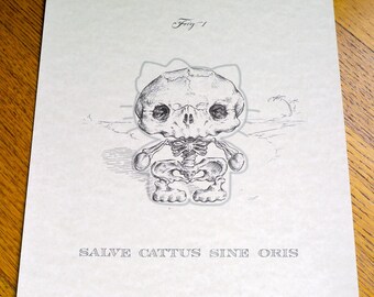 Salve Cattus Sine Oris (HK) 8 x 10" anatomische cartoon skeletafdruk met omtrek