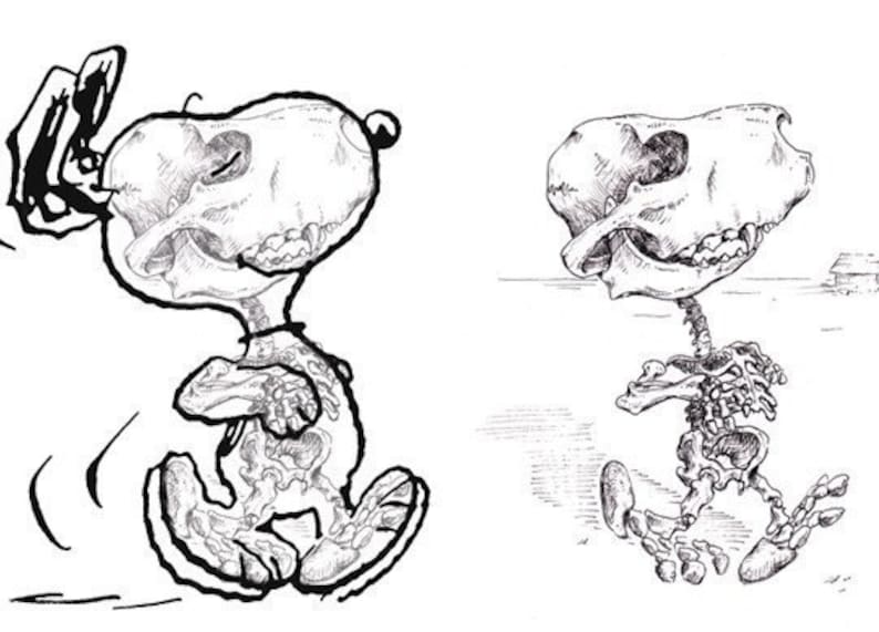 Snoopy Skeleton Print 8x10 image 5