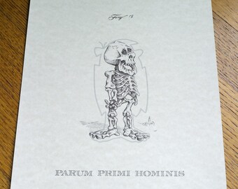 Parum Primi Hominis (Barney Rubble) 8 x 10 inch anatomische cartoon skeletafdruk (Latijn)