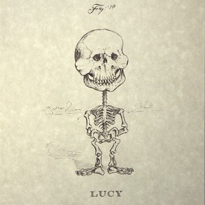 Lucy Skeleton Print 8x10 image 1