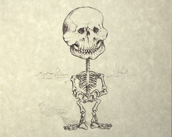 Lucy-skeletafdruk 8 x 10