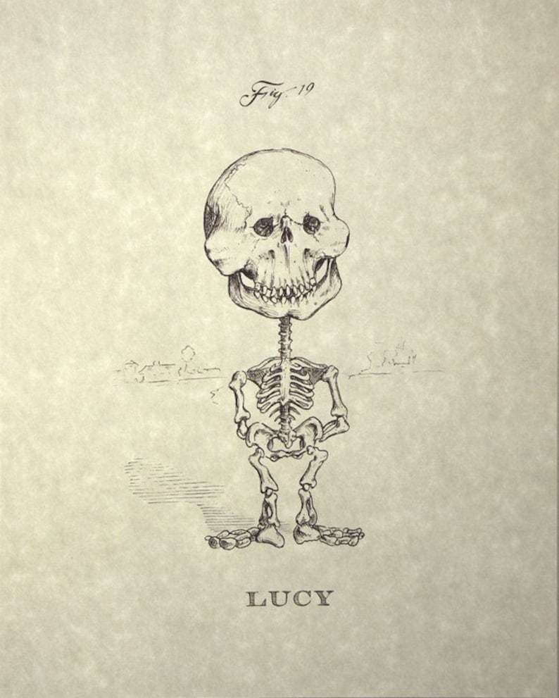 Lucy Skeleton Print 8x10 image 1