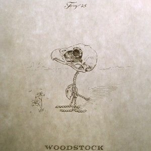 Woodstock Skeleton Print 8x10 image 1