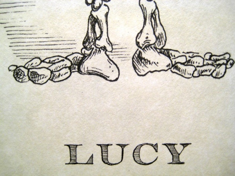 Lucy Skeleton Print 8x10 image 3